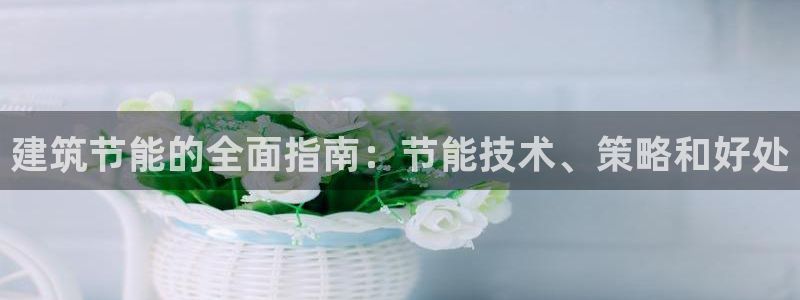 e尊国际官网·网址：建筑节能的全面指南：节能技术、策略和好处