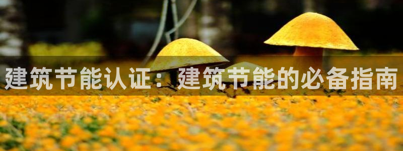 e尊国际7779：建筑节能认证：建筑节能的必备指南