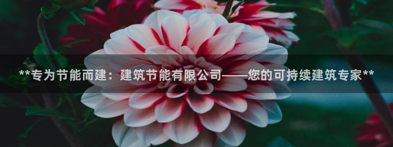 e尊国际客户端：**专为节能而建：建筑节能有限公司——您的可持续建筑专家**