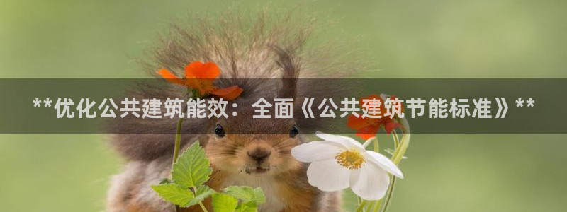 e尊国际是个黑网：**优化公共建筑能效：全面《公共建筑节能标准》**