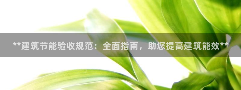 e尊国际可靠吗：**建筑节能验收规范：全面指南，助您提高建筑能效**