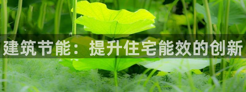 e尊平台：建筑节能：提升住宅能效的创新