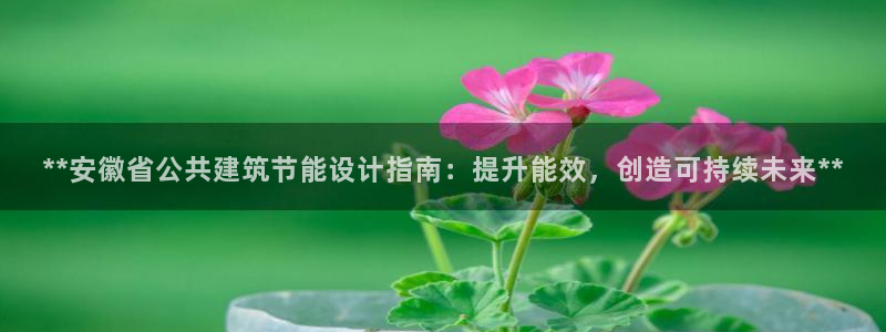 e尊国际网址：**安徽省公共建筑节能设计指南：提升能效，创造可持续未来**