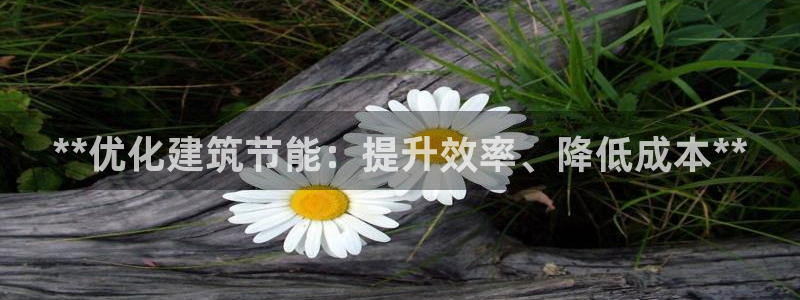 e尊国际是个黑网：**优化建筑节能：提升效率、降低成本**