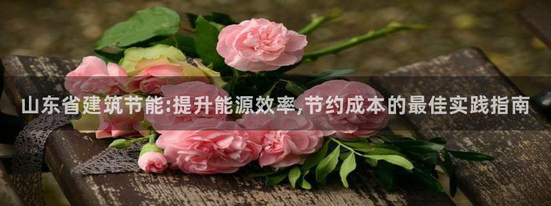 e尊国际官网·网址：山东省建筑节能:提升能源效率,节约成本的最佳实践指南