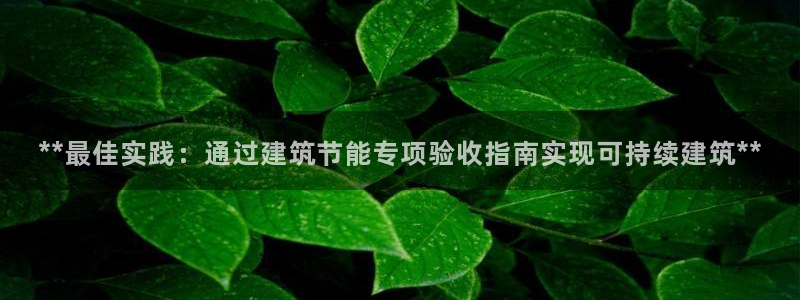 e尊国际地址：**最佳实践：通过建筑节能专项验收指南实现可持续建筑**
