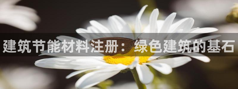 尊亿娱乐国际官网：建筑节能材料注册：绿色建筑的基石