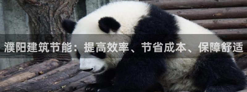 e尊国际官网·网址：濮阳建筑节能：提高效率、节省成本、保障舒适