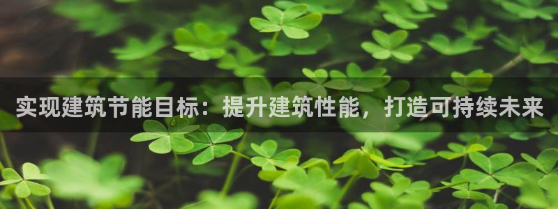 e尊国际平台：实现建筑节能目标：提升建筑性能，打造可持续未来