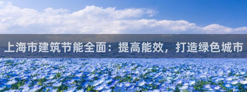 e尊国际娱乐官网下载：上海市建筑节能全面：提高能效，打造绿色城市