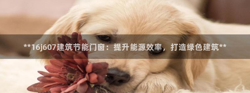 e尊国际客户端下载：**16j607建筑节能门窗：提升能源效率，打造绿色建筑**
