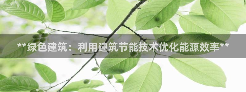 e尊国际可靠吗：**绿色建筑：利用建筑节能技术优化能源效率**