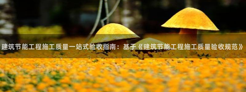 e尊国际客户端：建筑节能工程施工质量一站式验收指南：基于《建筑节能工程施工质量验收规范》