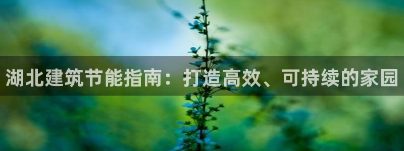 e尊体育：湖北建筑节能指南：打造高效、可持续的家园