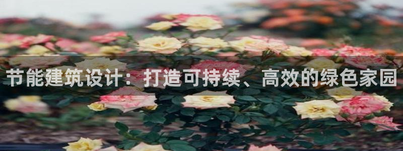 e尊国际是个黑网：节能建筑设计：打造可持续、高效的绿色家园