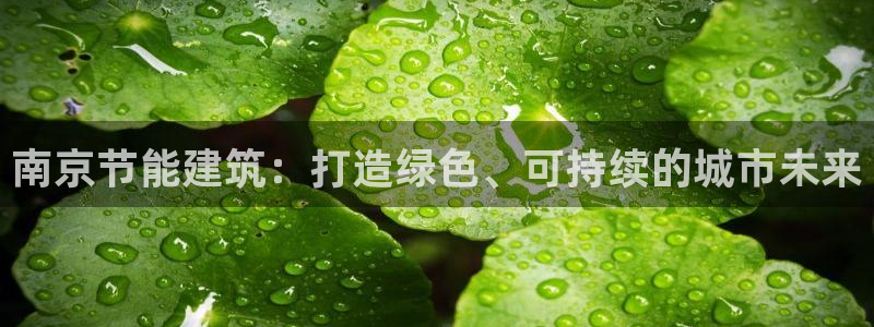 E尊国际：南京节能建筑：打造绿色、可持续的城市未来