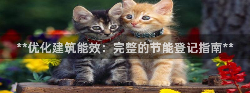 尊亿游戏国际官网：**优化建筑能效：完整的节能登记指南**