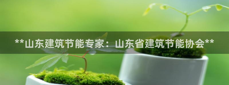 e尊国际娱乐官网下载：**山东建筑节能专家：山东省建筑节能协会**