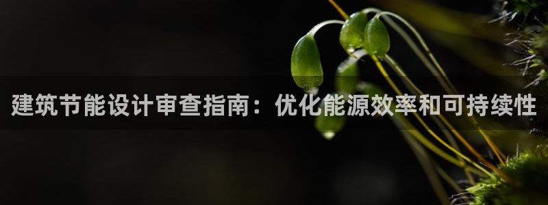 e尊国际官网app：建筑节能设计审查指南：优化能源效率和可持续性