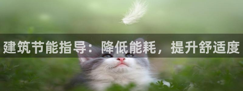 e尊国际娱乐官网地址：建筑节能指导：降低能耗，提升舒适度
