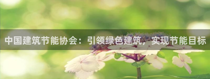 e尊官网：中国建筑节能协会：引领绿色建筑，实现节能目标
