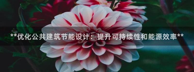 E尊国际网站：**优化公共建筑节能设计：提升可持续性和能源效率**