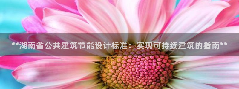 e尊国际官网·网址：**湖南省公共建筑节能设计标准：实现可持续建筑的指南**