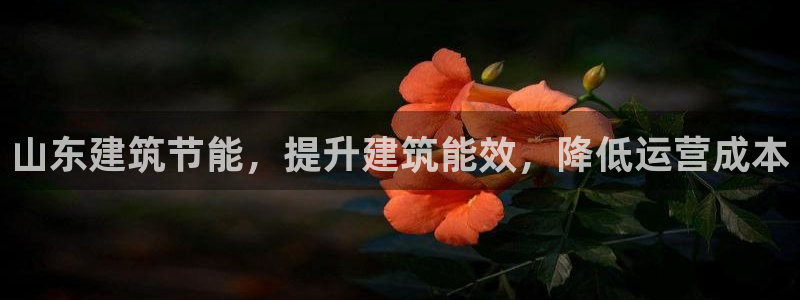 e尊国际官网·网址：山东建筑节能，提升建筑能效，降低运营成本