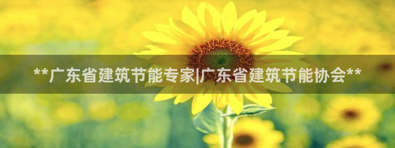谁知道e尊国际的网址：**广东省建筑节能专家|广东省建筑节能协会**