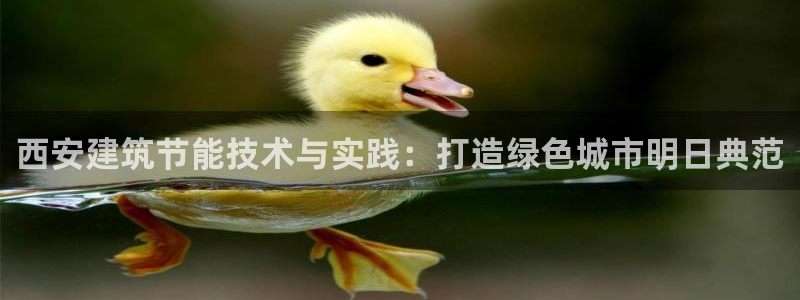 e尊国际是干什么的