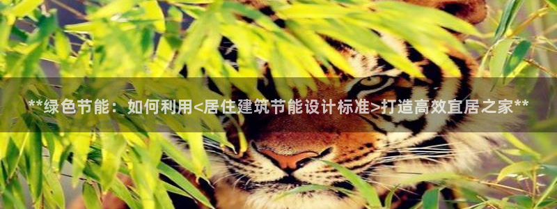 e尊国际平台：**绿色节能：如何利用<居住建筑节能设计标准>打造高效宜居之家**