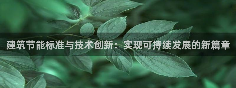 谁知道e尊国际的网址：建筑节能标准与技术创新：实现可持续发展的新篇章