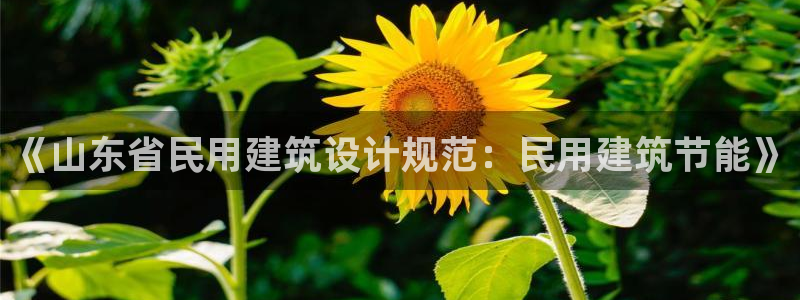 e尊国际客户端：《山东省民用建筑设计规范：民用建筑节能》