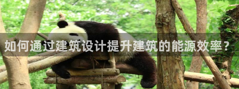 E尊国际网站：如何通过建筑设计提升建筑的能源效率？