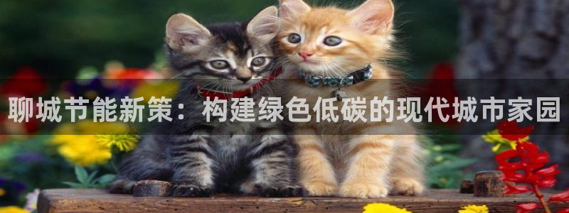 e尊国际-e尊国际官网：聊城节能新策：构建绿色低碳的现代城市家园