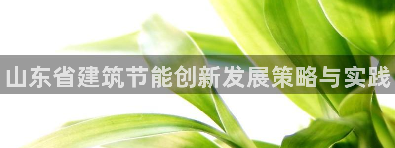E尊国际：山东省建筑节能创新发展策略与实践