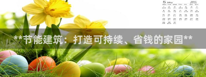 e尊国际客户端：**节能建筑：打造可持续、省钱的家园**