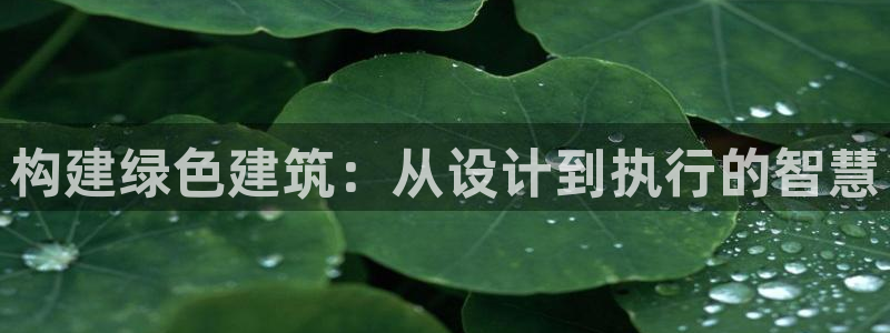 e尊国际的手机登录网站：构建绿色建筑：从设计到执行的智慧