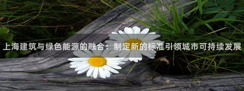 E尊国际：上海建筑与绿色能源的融合：制定新的标准引领城市可持续发展