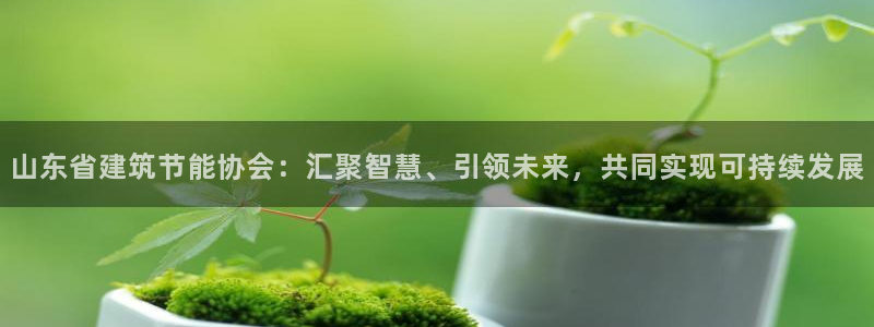 e尊官网：山东省建筑节能协会：汇聚智慧、引领未来，共同实现可持续发展