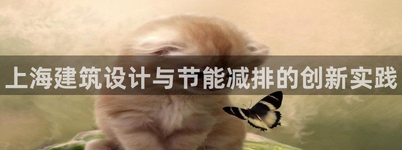 e尊国际app：上海建筑设计与节能减排的创新实践