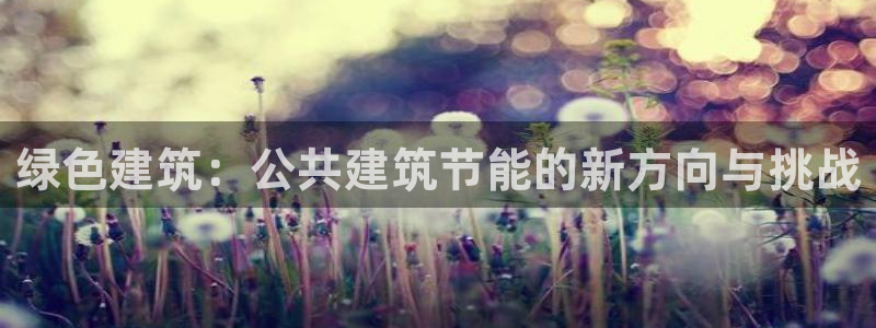 e尊国际-e尊国际官网：绿色建筑：公共建筑节能的新方向与挑战