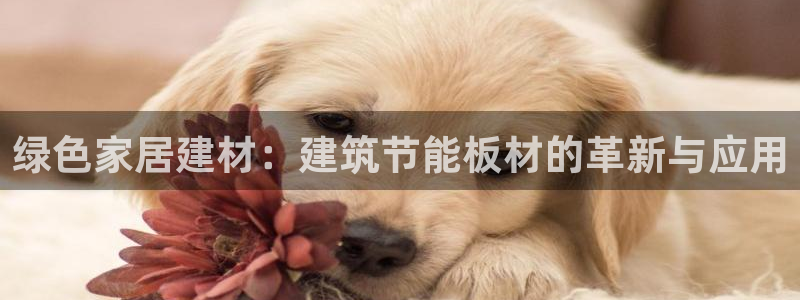 e尊国际官网app