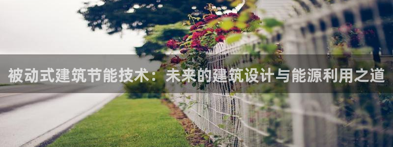 尊亿游戏国际官网：被动式建筑节能技术：未来的建筑设计与能源利用之道