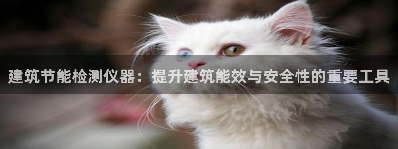 e尊国际地址