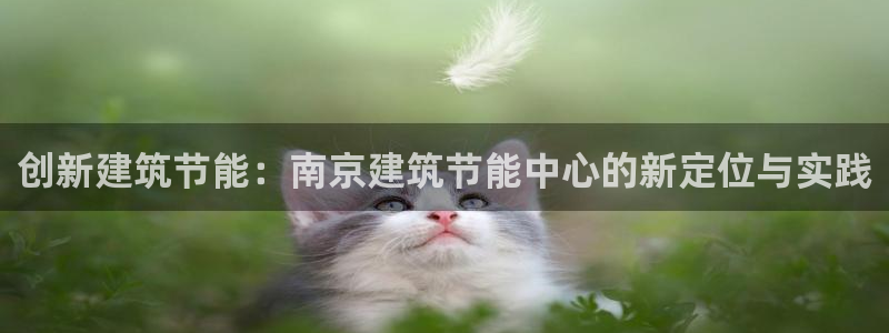 e尊国际客服：创新建筑节能：南京建筑节能中心的新定位与实践
