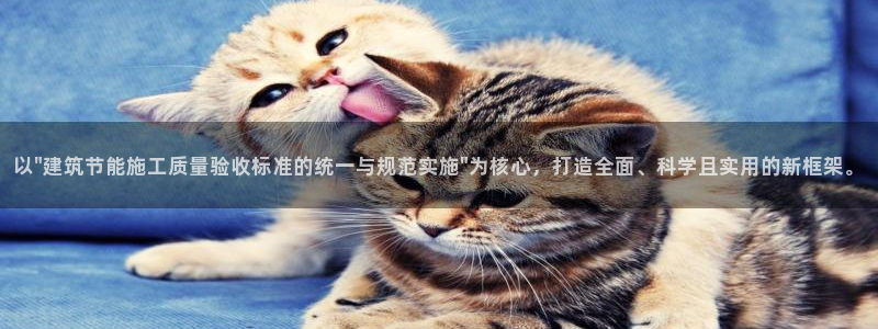 e尊国际的手机登录网站：以\