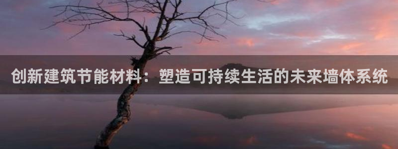e尊平台：创新建筑节能材料：塑造可持续生活的未来墙体系统