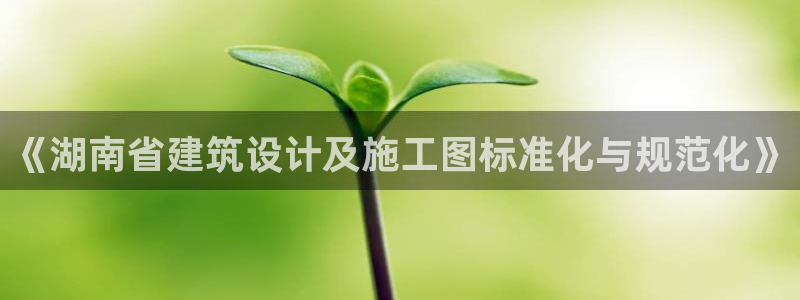 e尊国际娱乐官网地址：《湖南省建筑设计及施工图标准化与规范化》