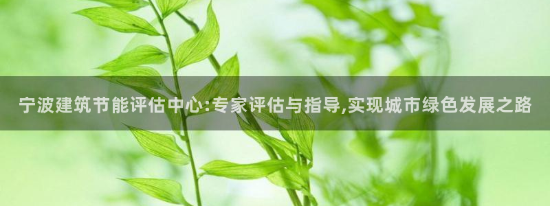 e尊国际官网：宁波建筑节能评估中心:专家评估与指导,实现城市绿色发展之路